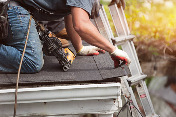 Best Flat Roof Repair Services  in Rensselaer, IN